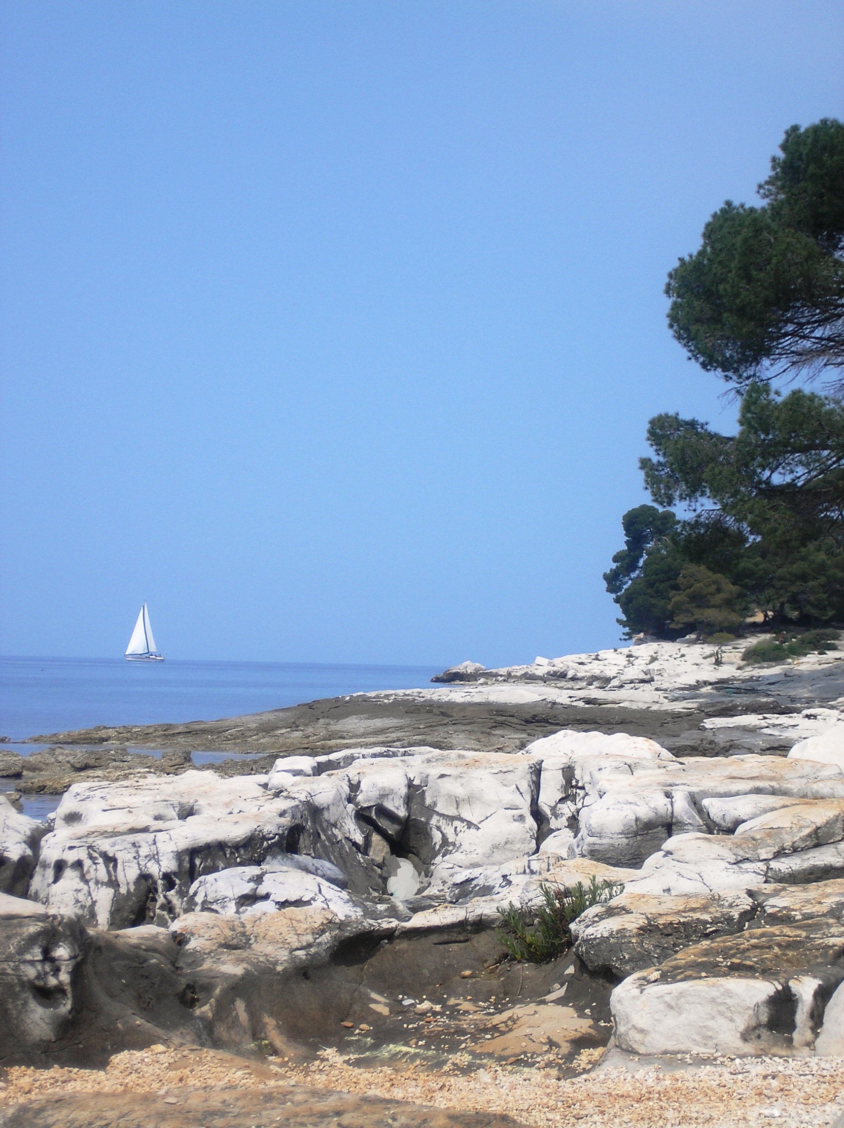 Weekend Media Festival u Rovinju