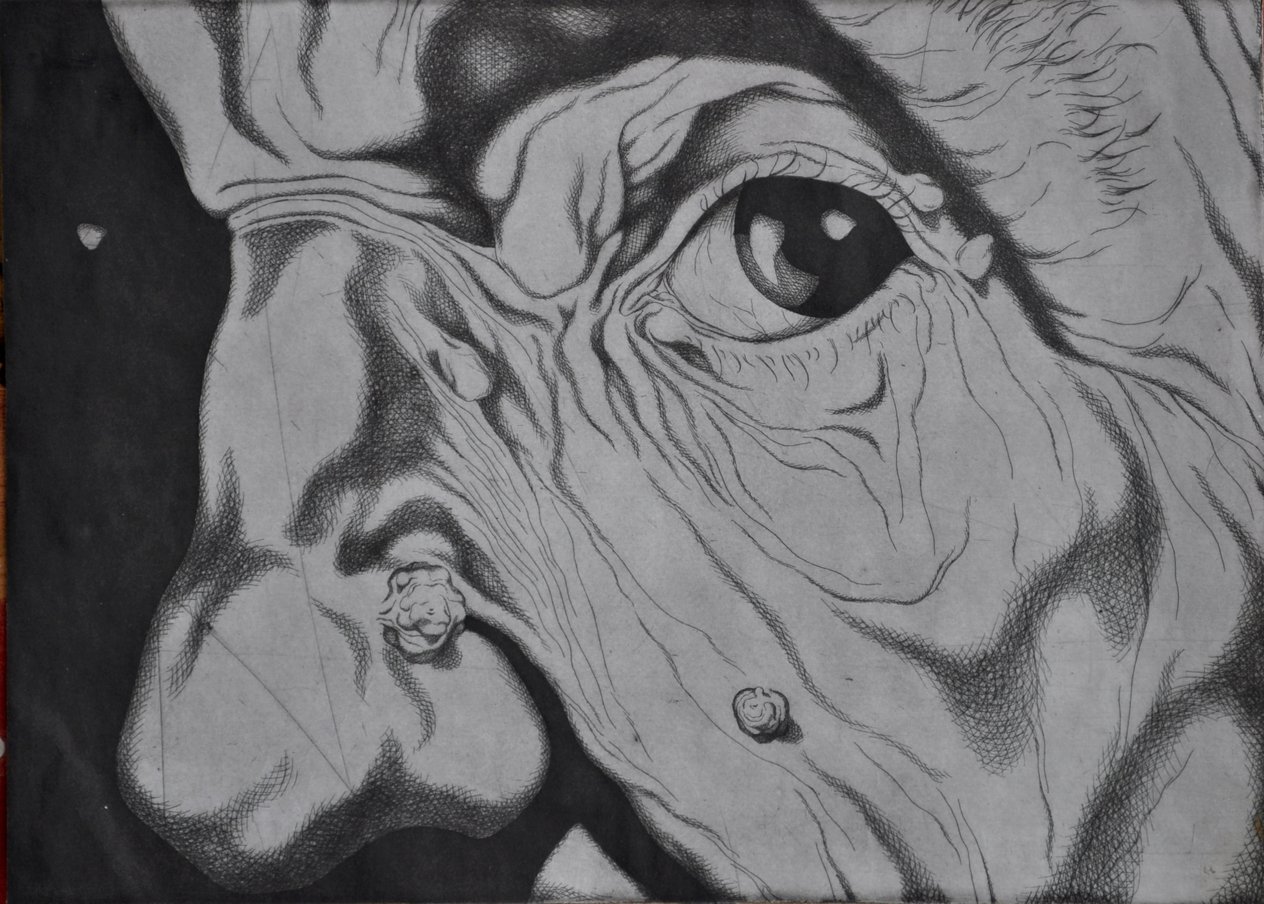 Ikone našeg doba, izložba grafika Danisa Fejzića u Zvonu