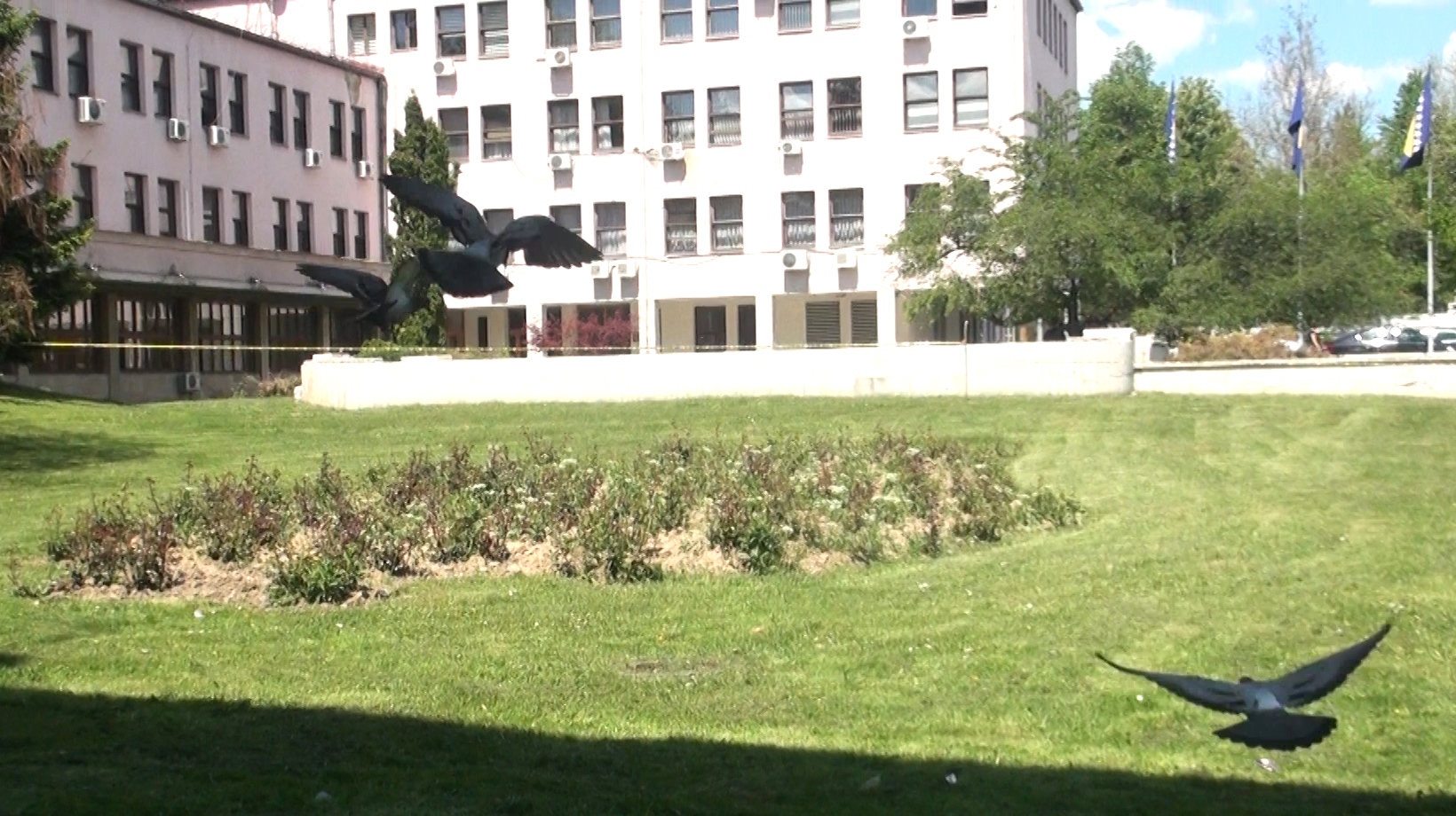 Na Grani Zelenoj – “Zar je važno ko je kriv” (video)