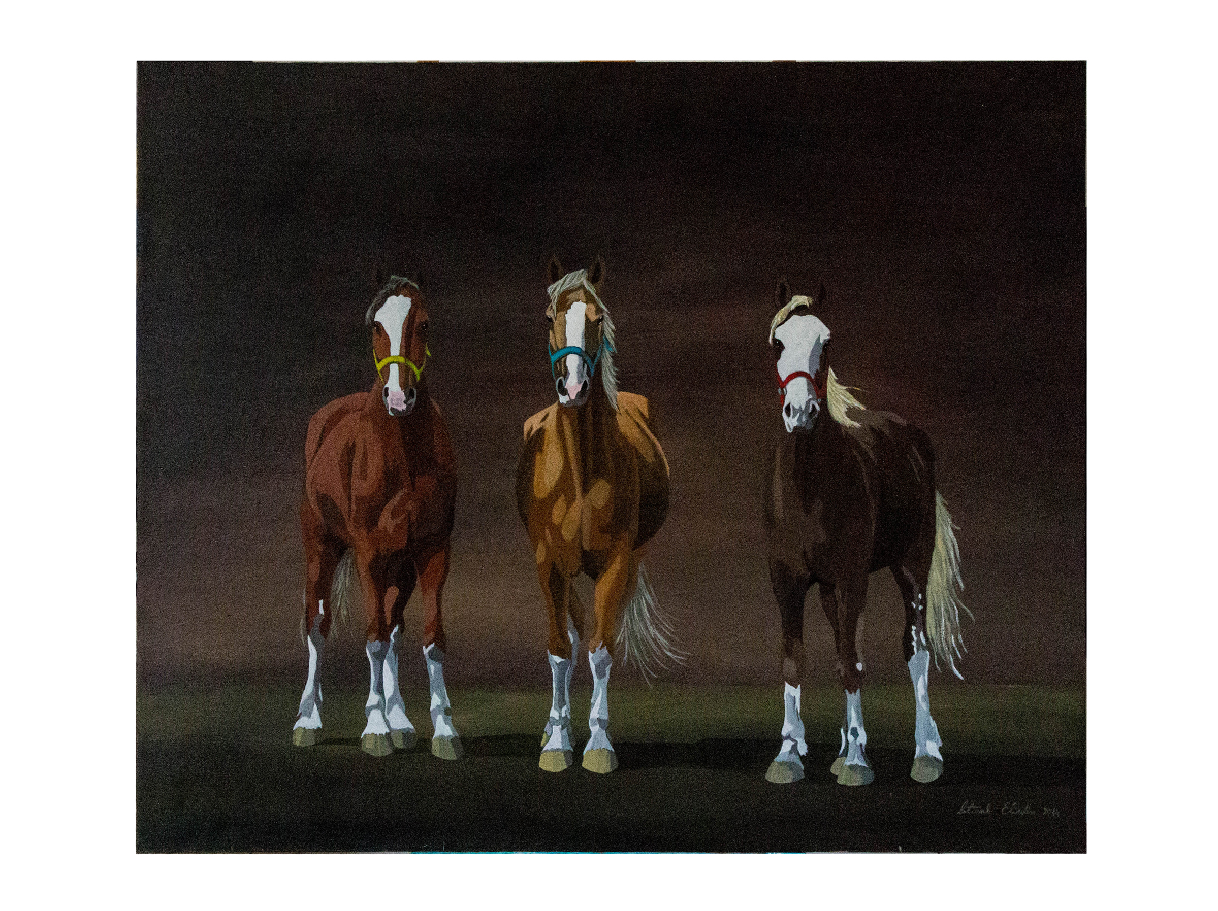 Elvedin Poturak – izložba „Veliki format“