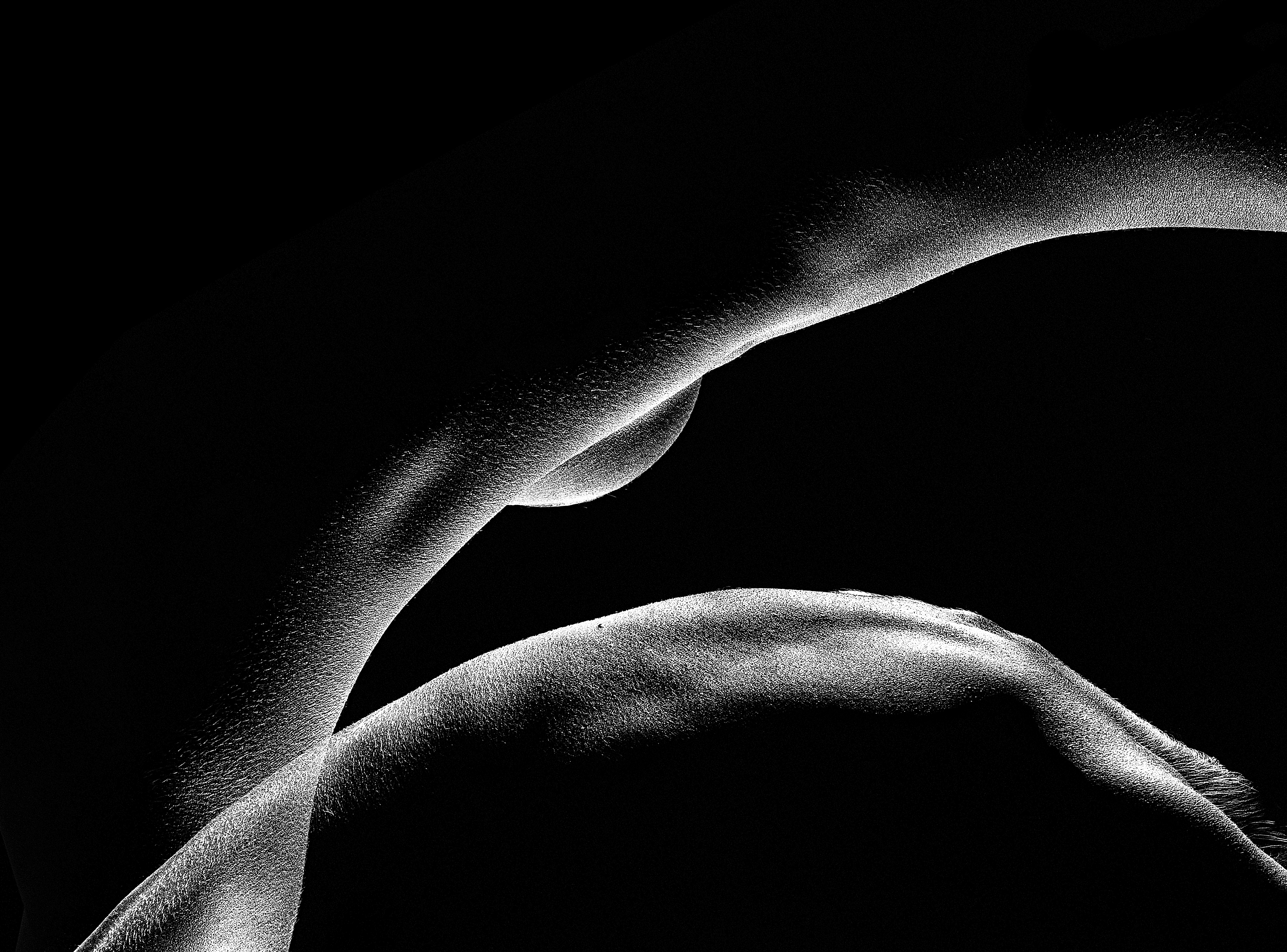 Dvije nove izložbe u Umjetničkoj galeriji