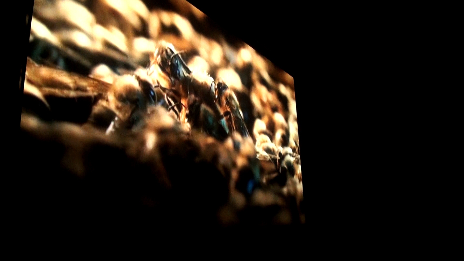 Obilježen 05. juni Svjetski dan okoliša