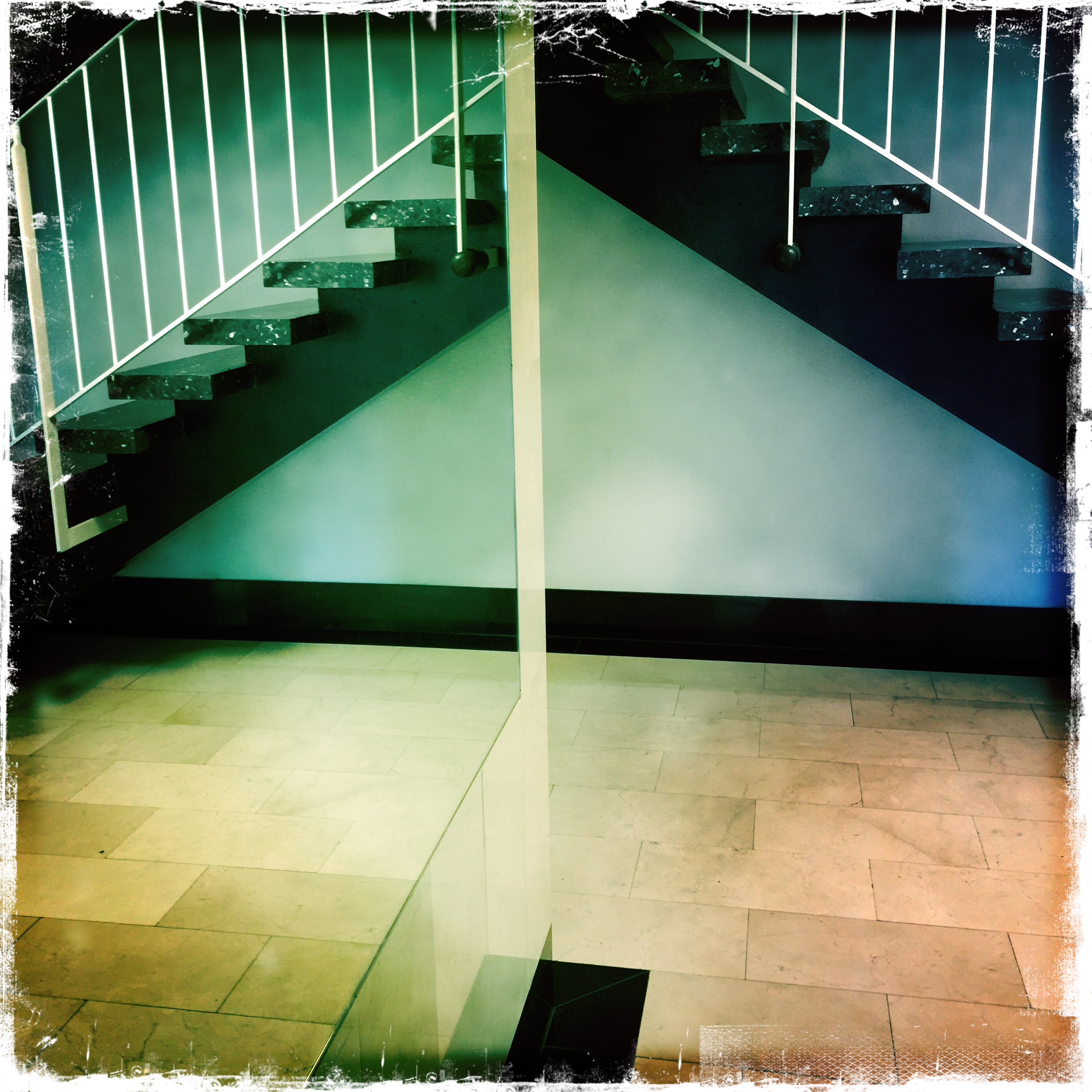 Izložba “Haustorčad”, Andrej Ðerković, Ženeva