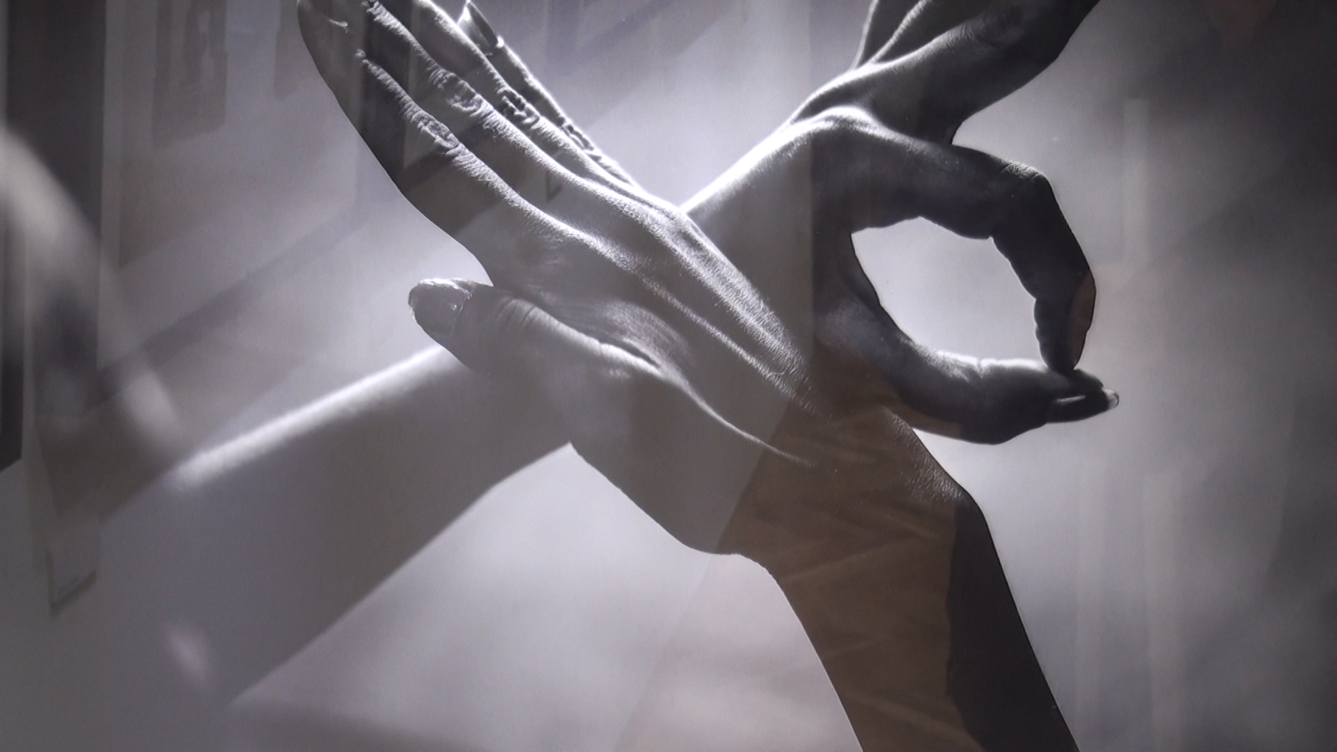 Retrospektivna izložba bosansko-hercegovačkih fotografa (video)