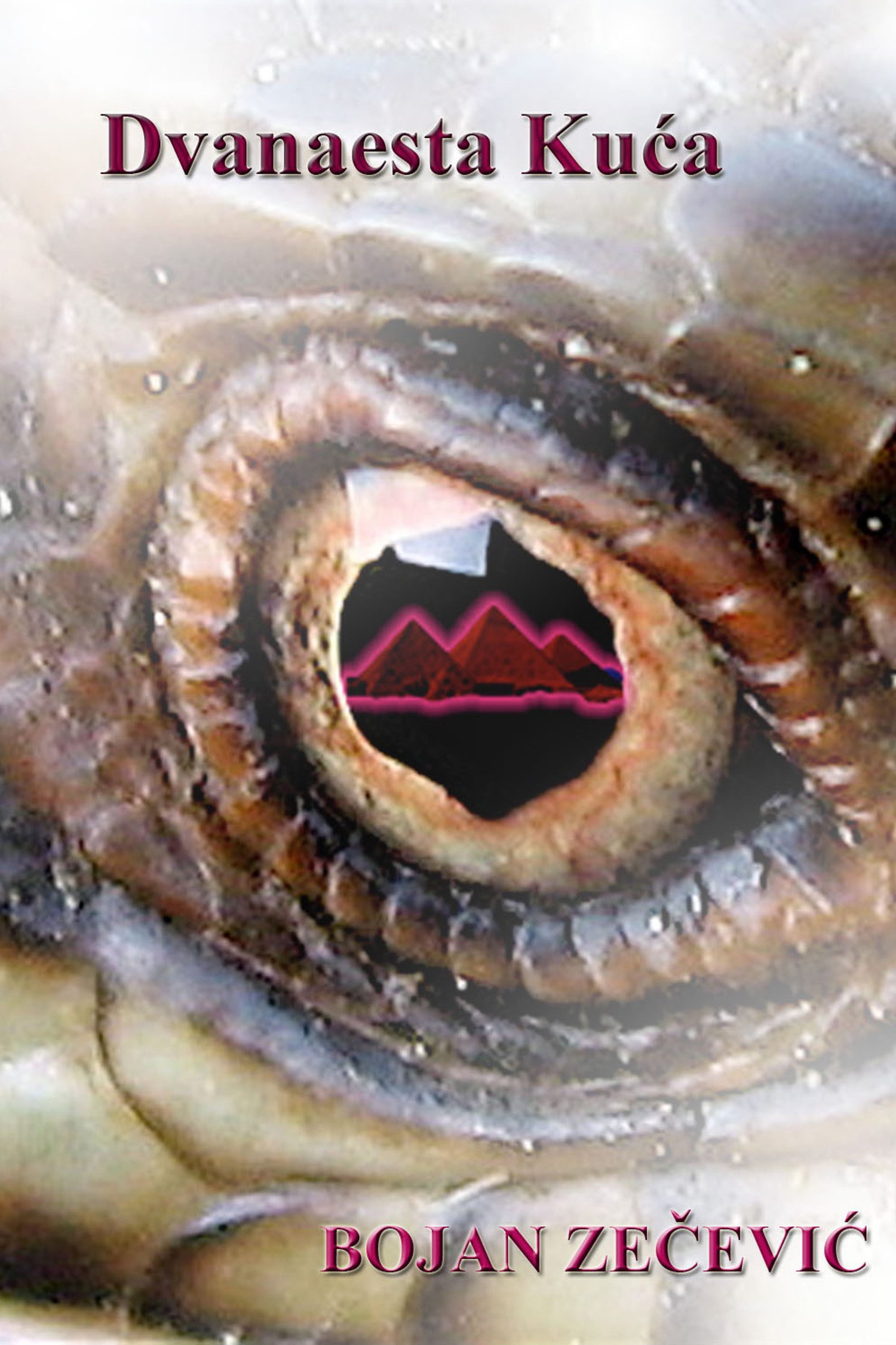 Roman “Dvanaesta kuća”, autora Bojana Zečevića, preveden i objavljen i na bhs jeziku