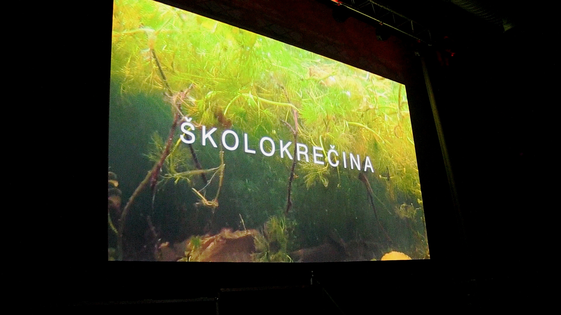 Premijera igrano-dokumentarne serije “Školokrečina”