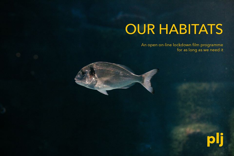 Naša staništa: Specijalni otvoreni onlajn program Pravo Ljudski Film Festivala