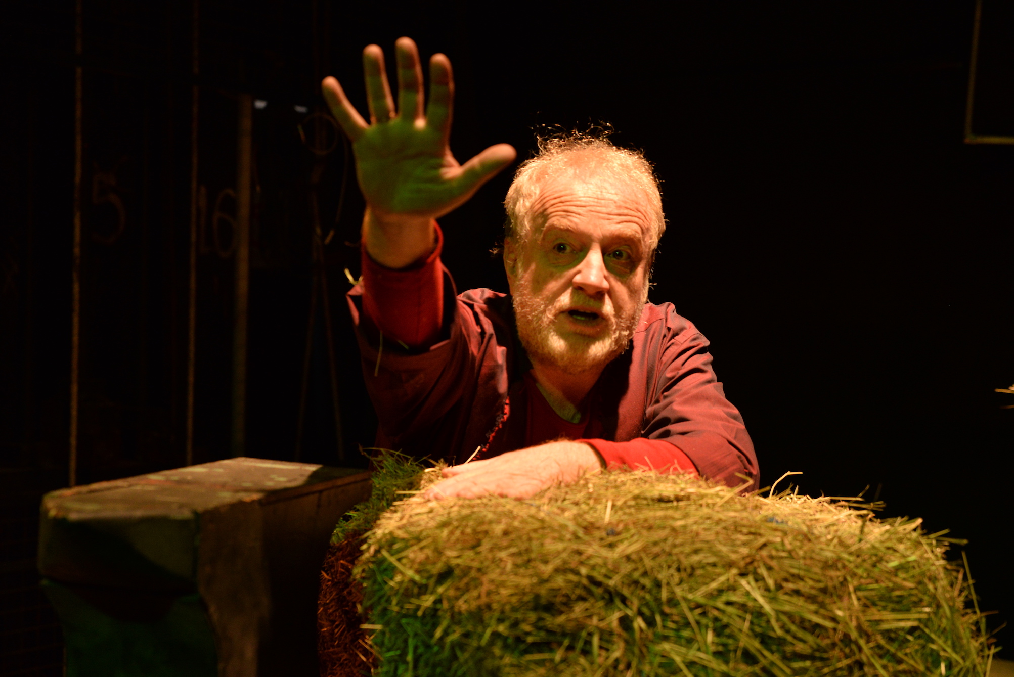 Predstava „Bijela griva“ u nedjelju u podne zatvara mali MESS