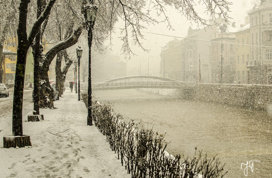 Izložba fotografija Tarika Jesenkovića u okviru projekta “Umjetnost u izlogu 2020”
