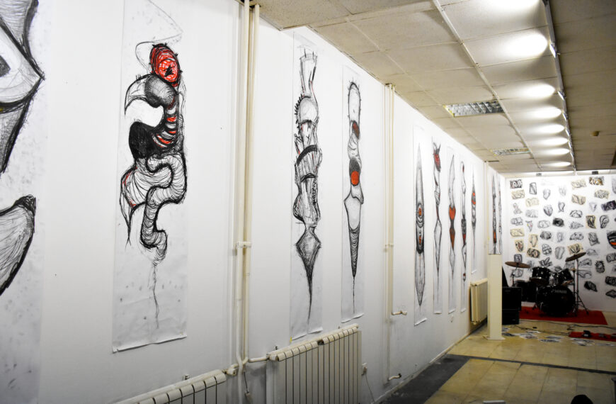 Otvorena izložba “Sonus Visualis” umjetnika Vanje Solakovića