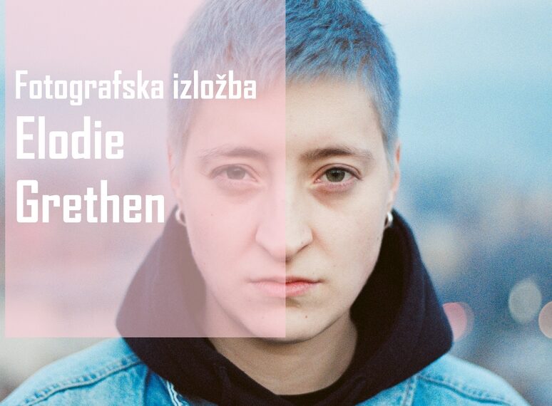 Izložba fotografija “Guarding Lions”