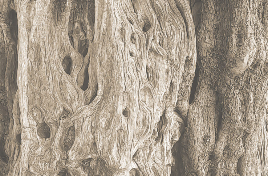 Prvi singl benda Lucid Dreamers iz Sarajeva