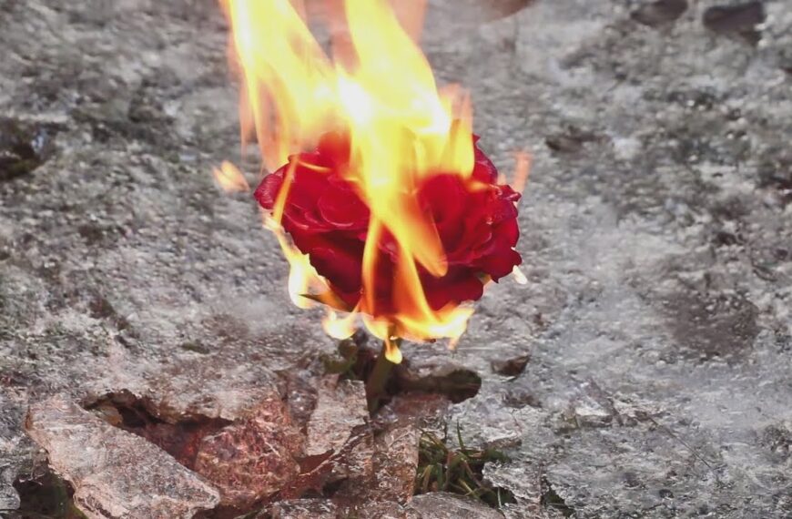 OLOVNA PJESMA – pjesma benda Kafa u ponoć, kao drugi video singl albuma Novih odmetnika