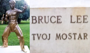 povratak brus lija